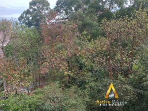 foto_104782_901271444_7313246129_ss