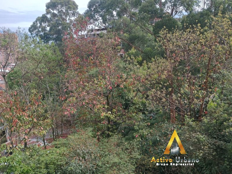 foto_104782_901271444_7313246129_ss