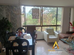 foto_104782_901271444_7395513334_ss