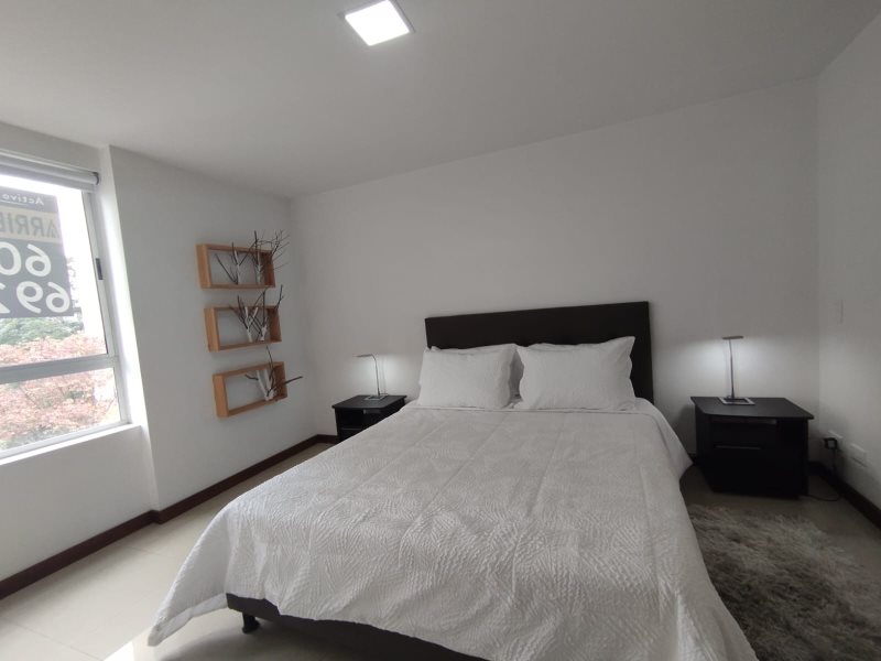 foto_104782_901271444_7445709014_ss