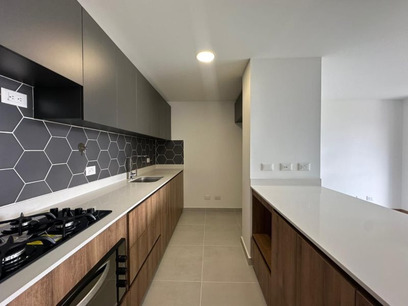 foto_104782_901271444_7453340703_ss