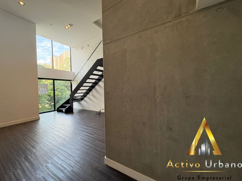 foto_104782_901271444_7588302744_ss