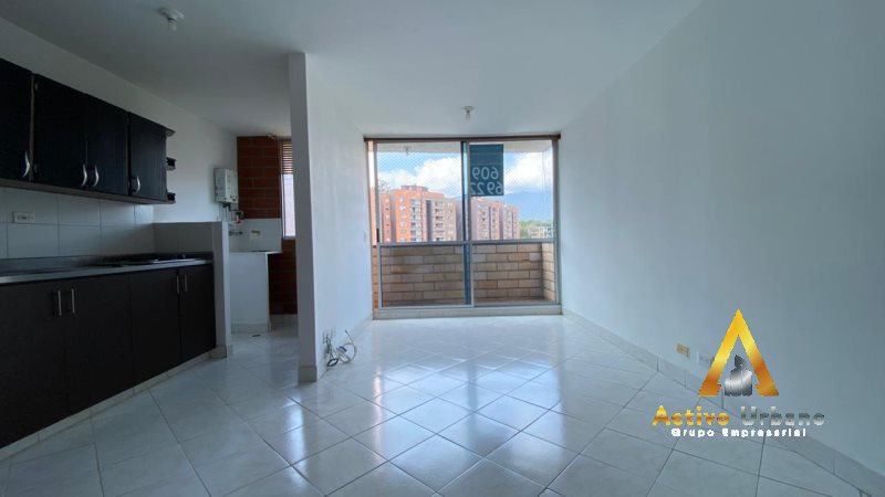 foto_104782_901271444_7818088556_ss