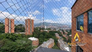 foto_104782_901271444_7829742606_ss