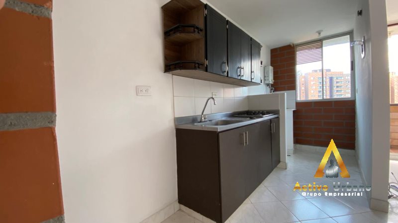 foto_104782_901271444_7842269393_ss