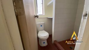 foto_104782_901271444_7868090423_ss