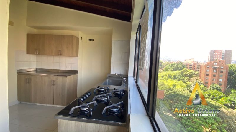 foto_104782_901271444_7887168702_ss