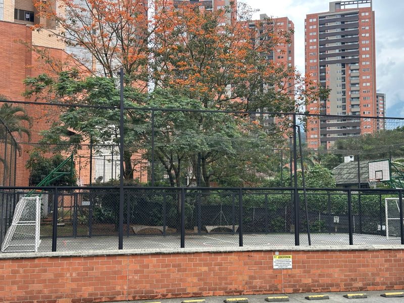 foto_104782_901271444_7977636451_ss