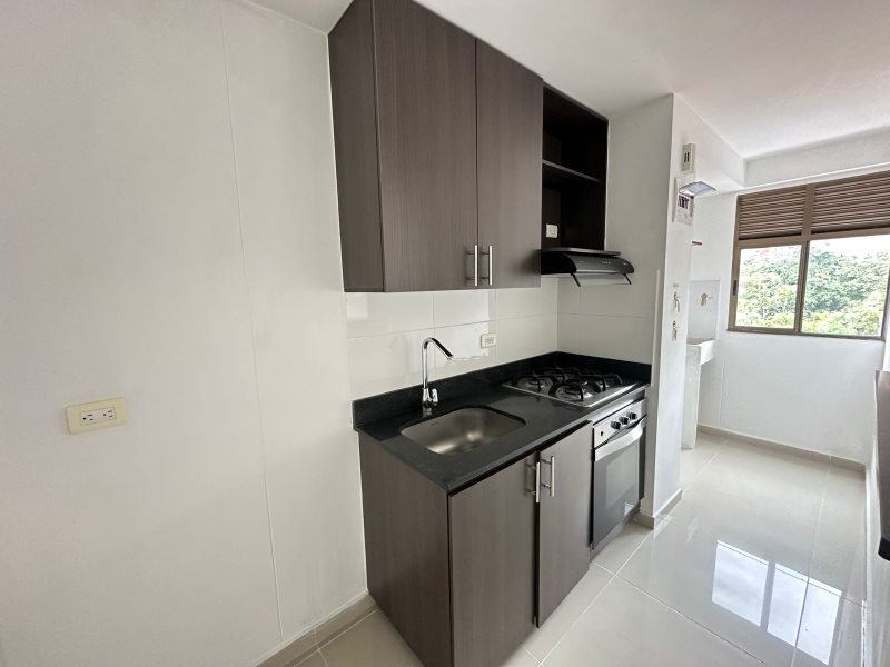 foto_104782_901271444_7980419794_ss