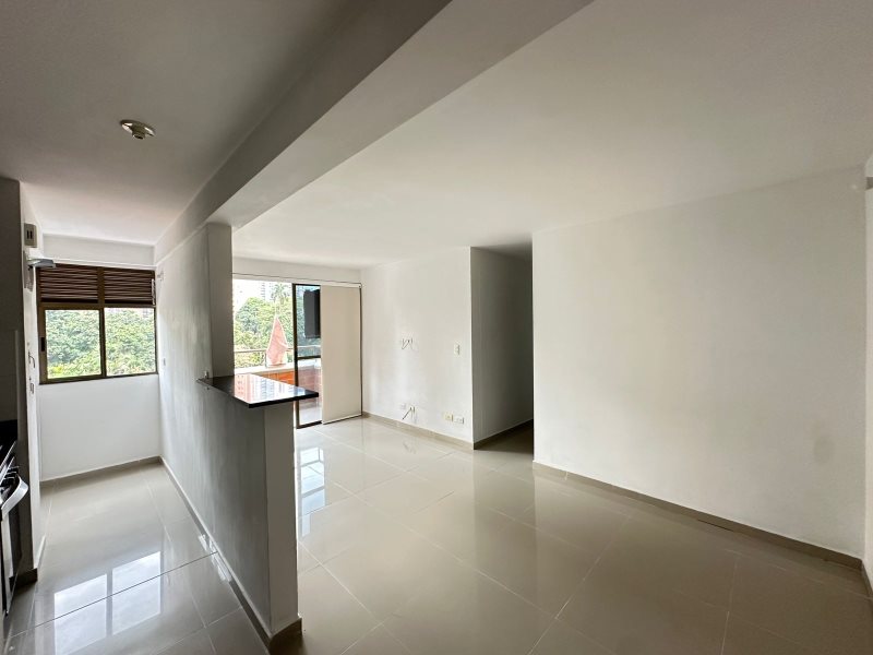 foto_104782_901271444_7992354147_ss