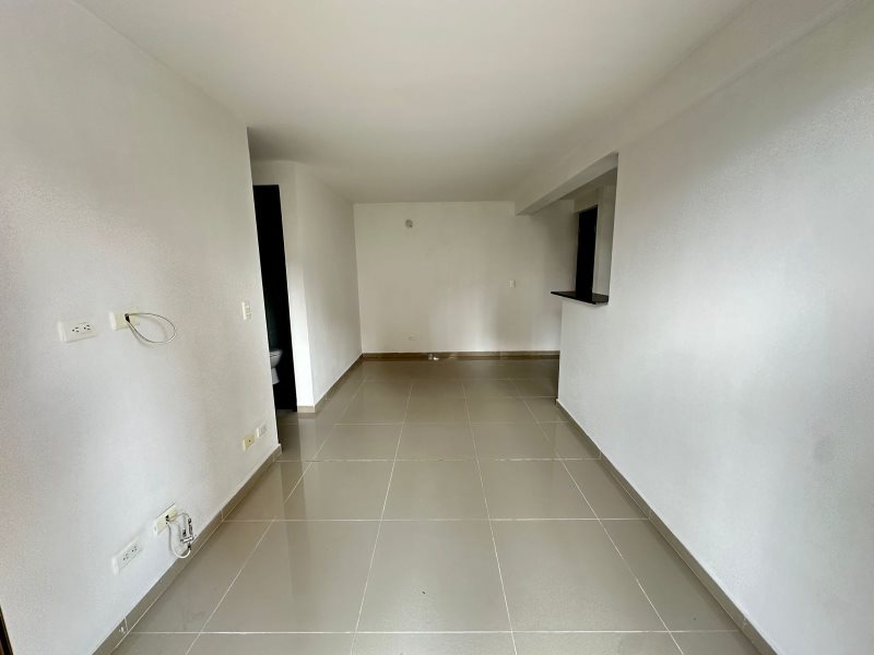 foto_104782_901271444_7997068602_ss