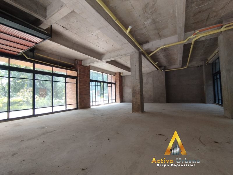 foto_104782_901271444_8501400333_ss