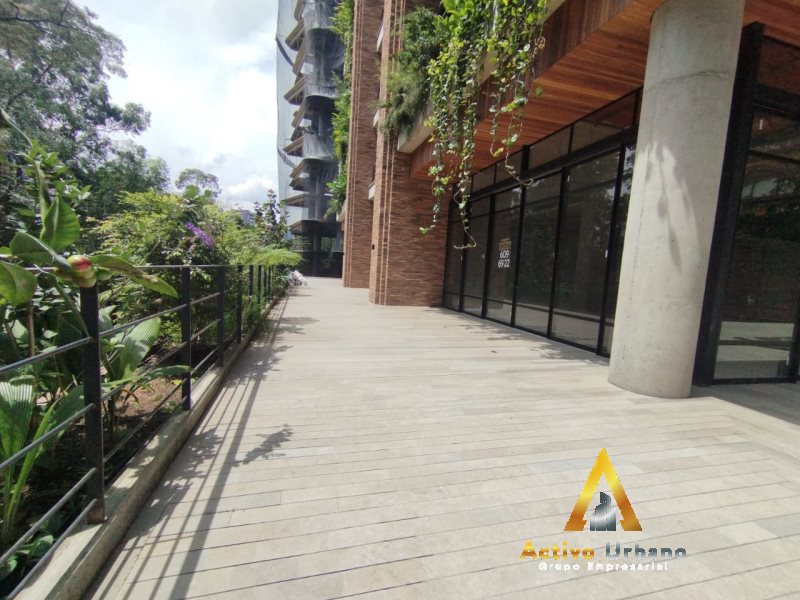 foto_104782_901271444_8549994017_ss