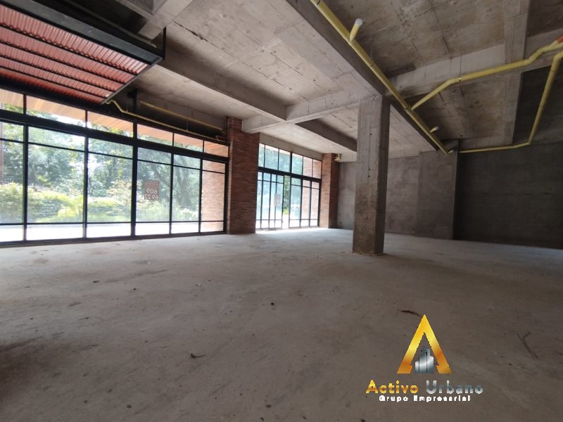 foto_104782_901271444_8550844500_ss