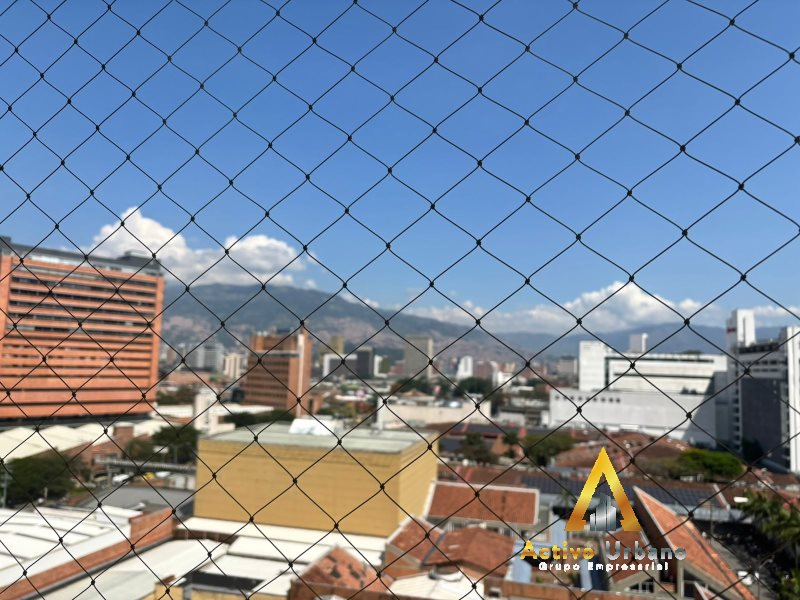 foto_104782_901271444_8674980530_ss