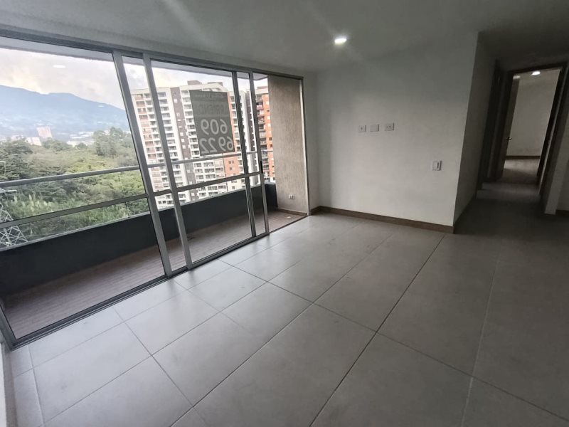 foto_104782_901271444_8699243240_ss