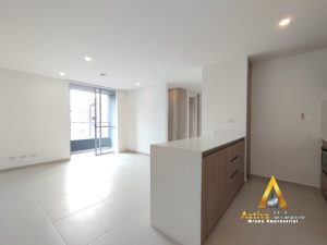 foto_104782_901271444_8703923034_ss