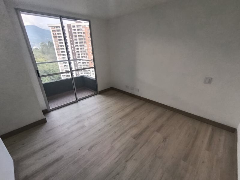 foto_104782_901271444_8722463754_ss