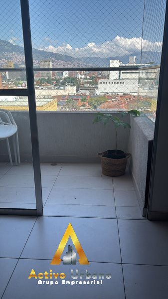 foto_104782_901271444_8726370177_ss