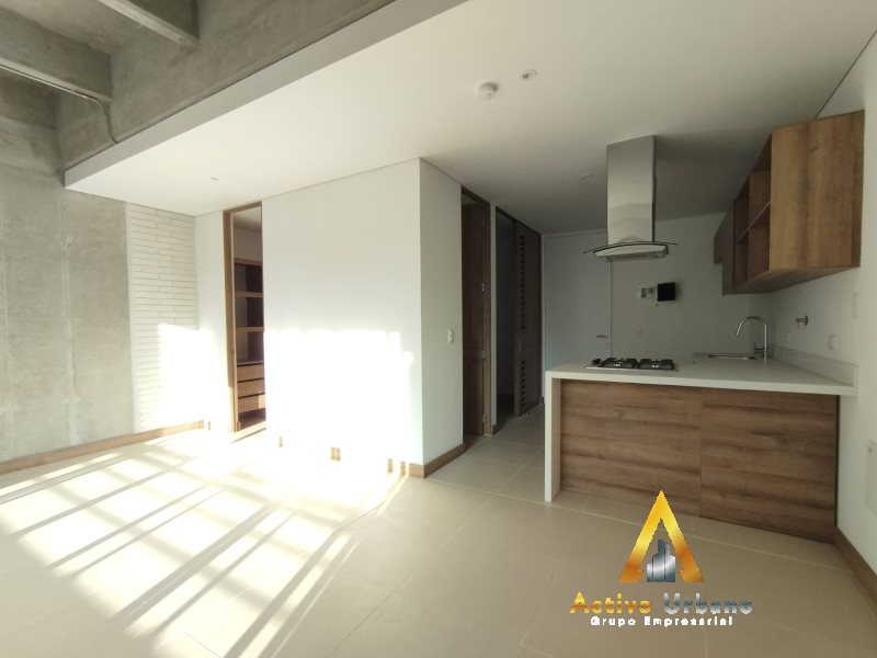 foto_104782_901271444_8846310899_ss