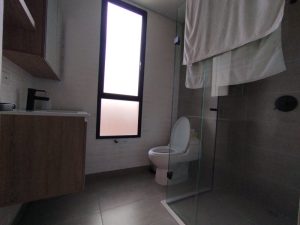 foto_104782_901271444_8922494452_ss