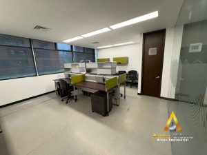 foto_104782_901271444_8958020888_ss