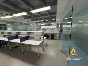 foto_104782_901271444_8974713029_ss