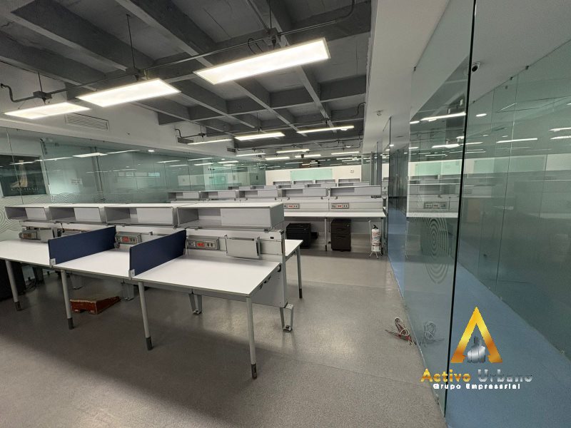 foto_104782_901271444_8974713029_ss