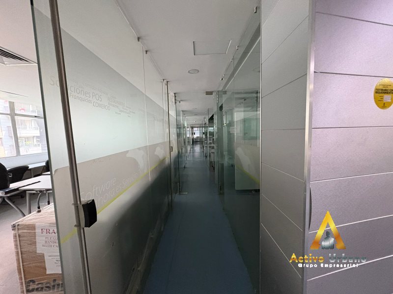 foto_104782_901271444_8986539006_ss