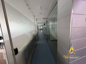 foto_104782_901271444_8996763923_ss