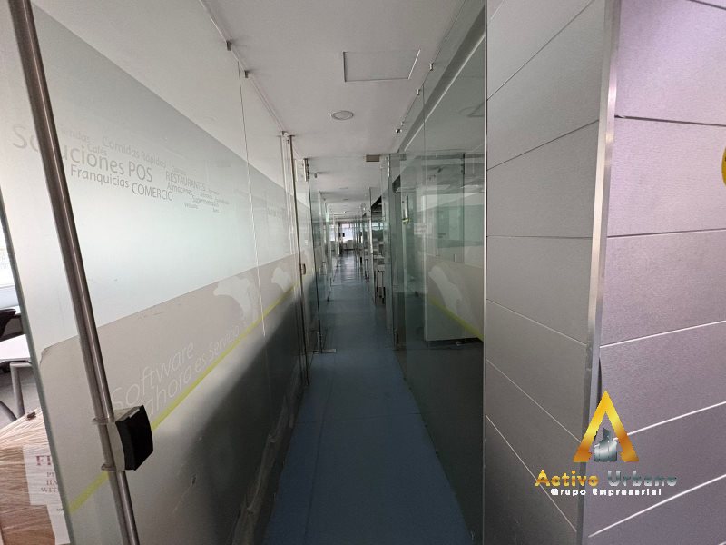 foto_104782_901271444_8996763923_ss