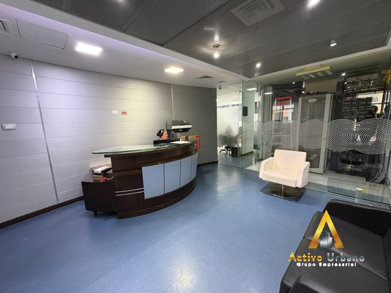 foto_104782_901271444_8998884164_ss