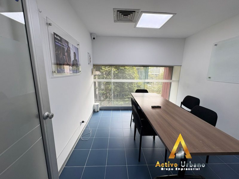 foto_104782_901271444_9290349055_ss