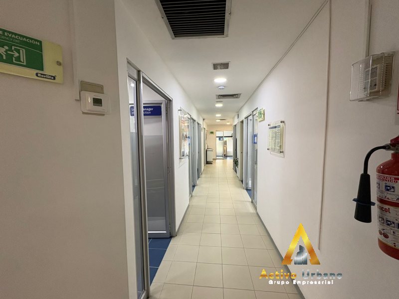 foto_104782_901271444_9349486870_ss