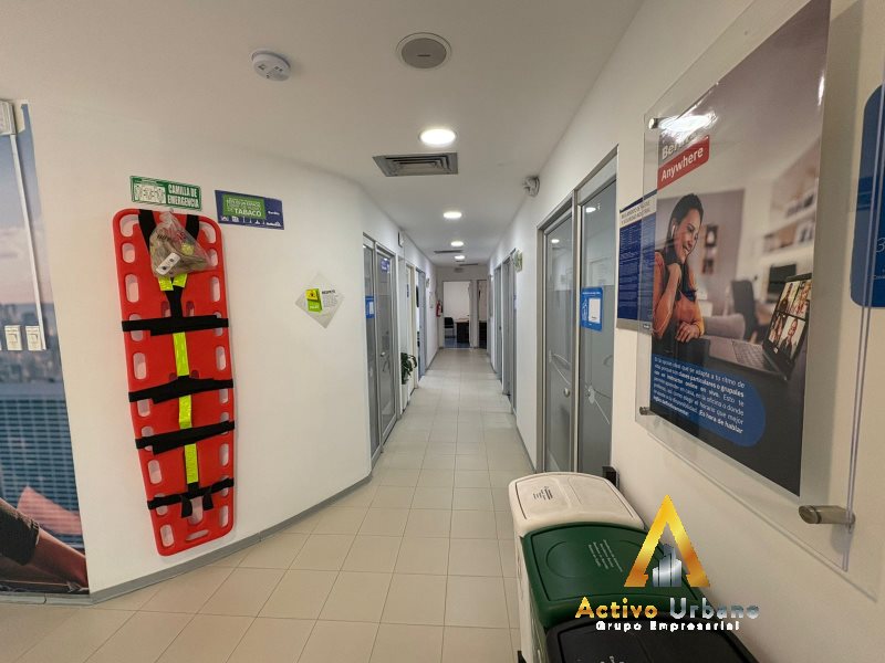 foto_104782_901271444_9369589145_ss