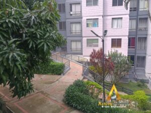 foto_104782_901271444_9630270923_ss