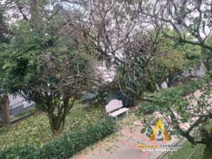 foto_104782_901271444_9654035317_ss