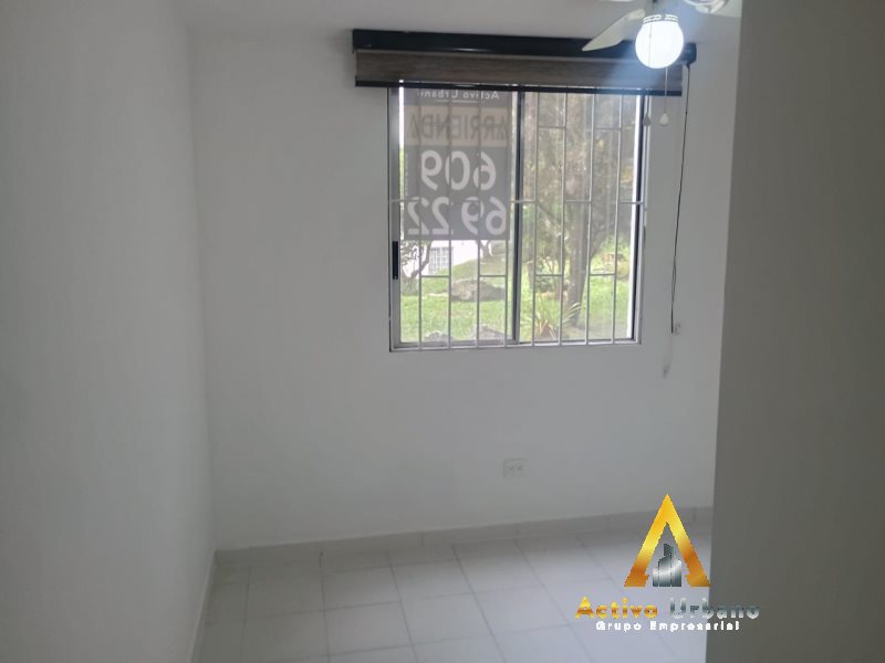 foto_104782_901271444_9655082921_ss