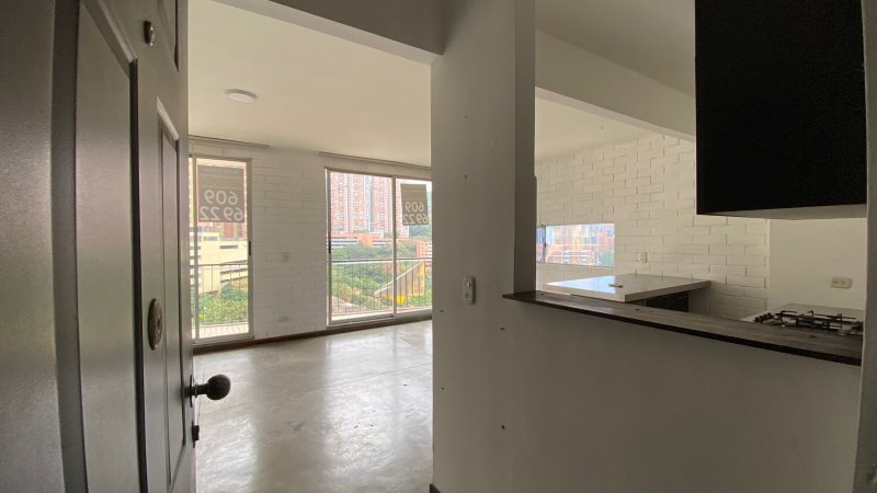 foto_104782_901271444_9665404756_ss