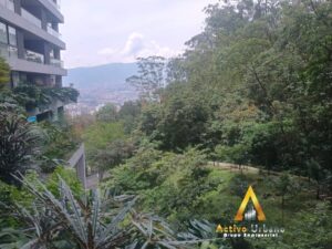 foto_104782_901271444_9835755531_ss