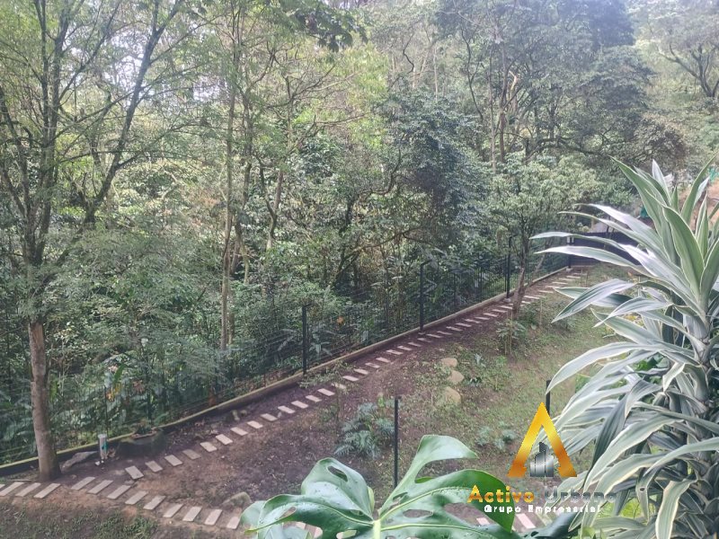 foto_104782_901271444_9835801397_ss