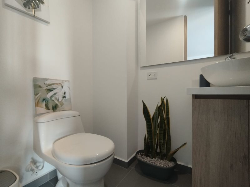 foto_104782_901271444_9840583013_ss