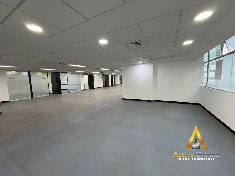 foto_104782_901271444_9918740591_ss