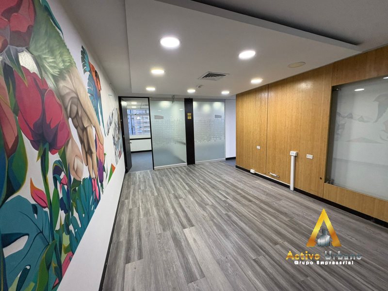 foto_104782_901271444_9919640827_ss