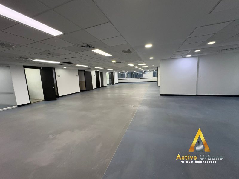 foto_104782_901271444_9919754370_ss