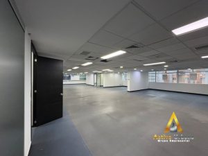 foto_104782_901271444_9932050744_ss