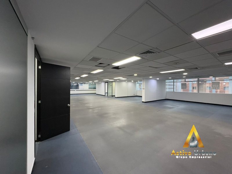 foto_104782_901271444_9932050744_ss