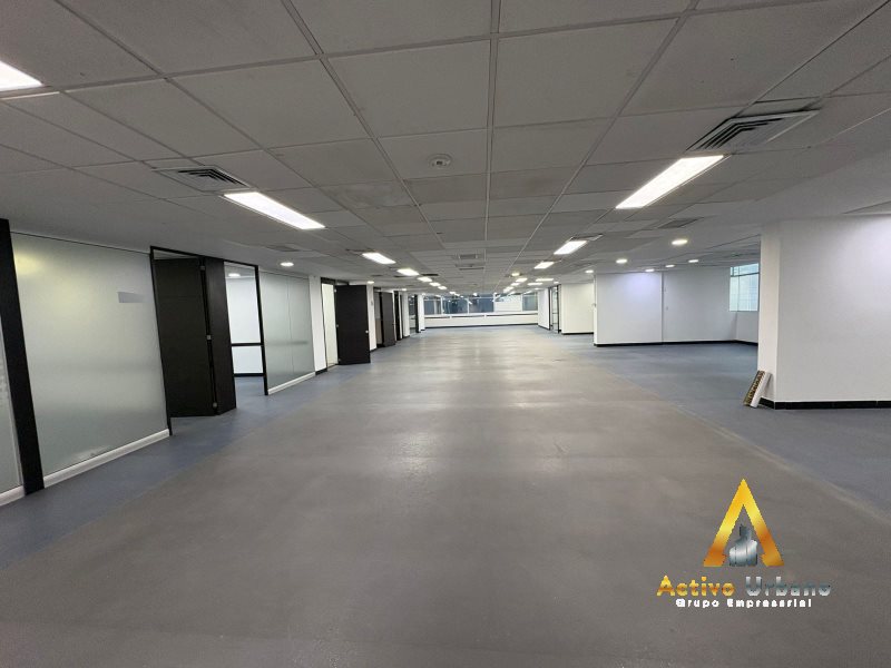 foto_104782_901271444_9944105145_ss