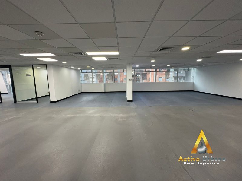 foto_104782_901271444_9945005238_ss