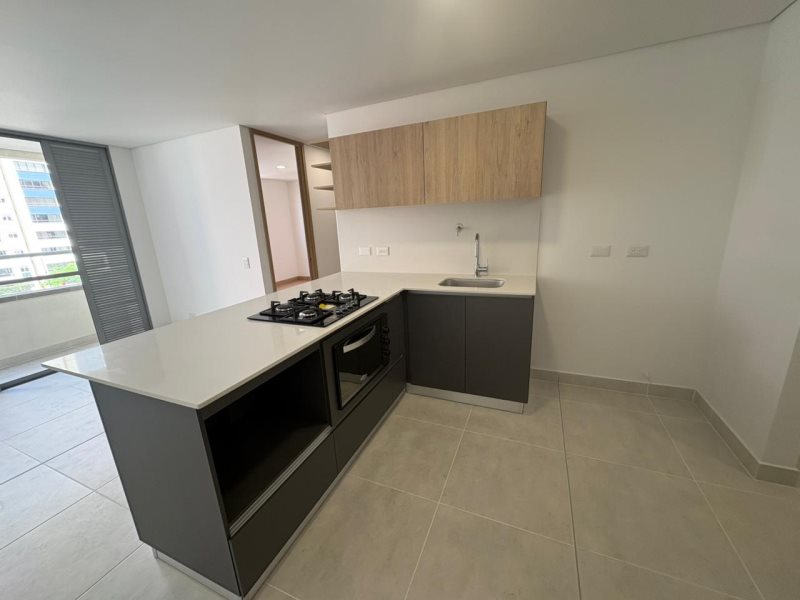 foto_104782_901271444_9978665763_ss